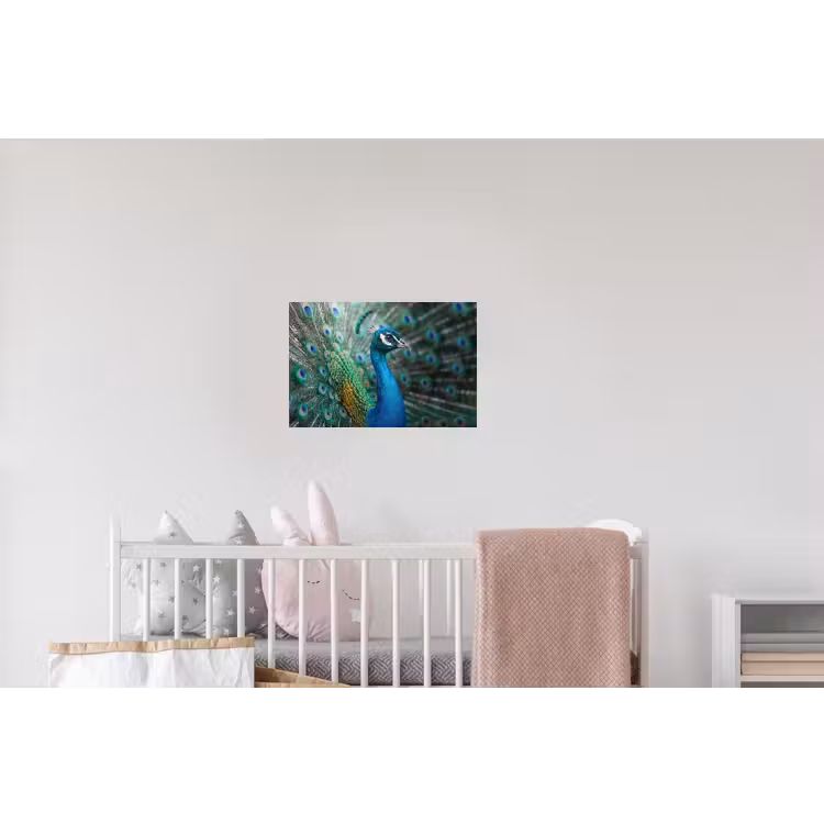 Pauw - Veren - Blauw Muursticker klein -kinderkamer