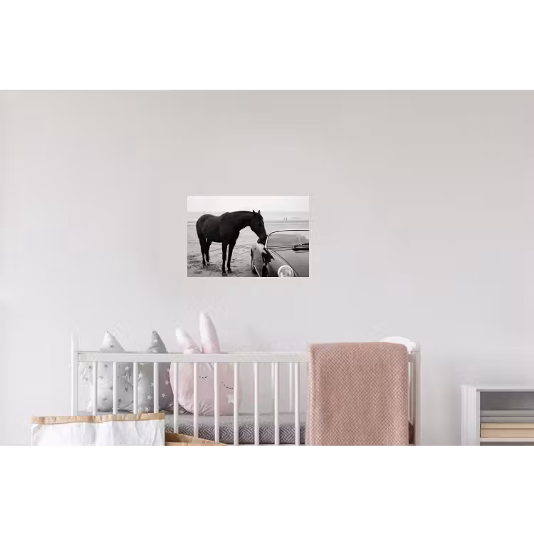 Paard - Auto - Zwart - Wit Muursticker klein -kinderkamer