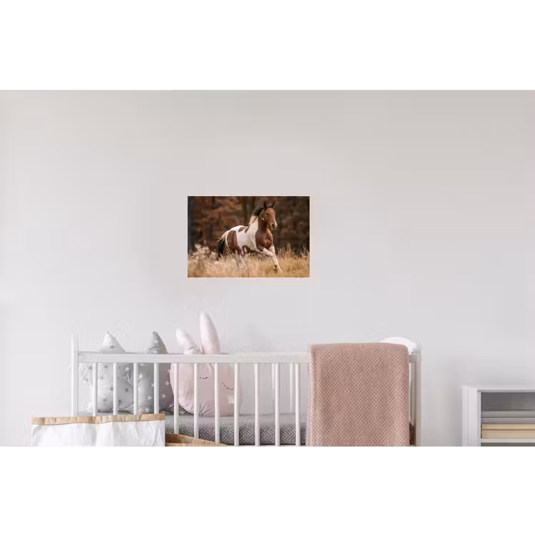 Paard - Bruin - Gras Muursticker klein -kinderkamer