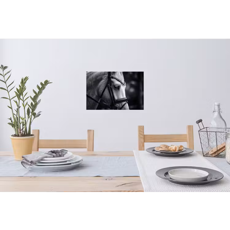 Paard - Schimmel - Portret Muursticker klein -eettafel