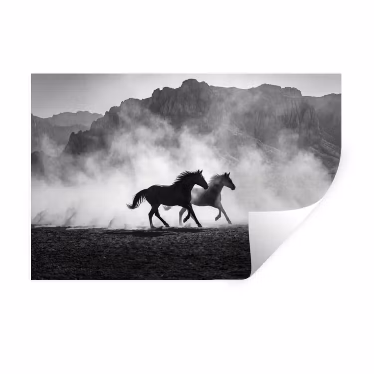 Paard - Ren - Stof - Zwart-wit - Dieren Muursticker klein -3d
