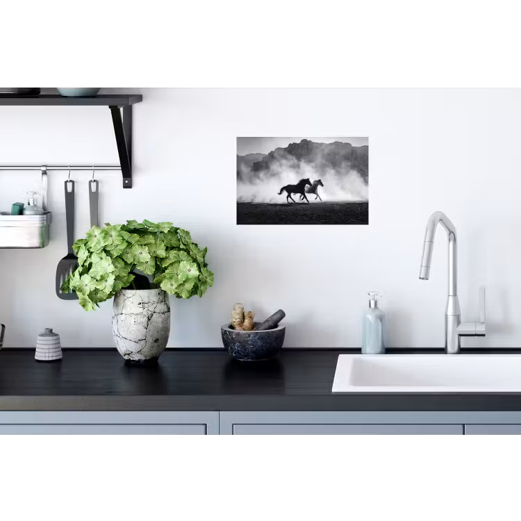 Paard - Ren - Stof - Zwart-wit - Dieren Muursticker klein -keuken