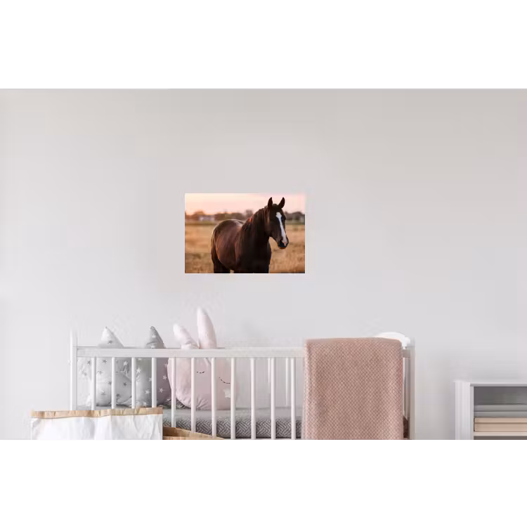 Paard - Zonsondergang - Bruin Muursticker klein -kinderkamer
