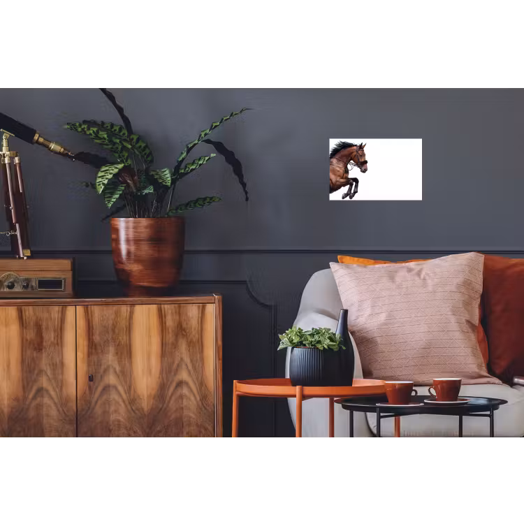 Paard - Springen - Modern Muursticker klein -kamerbank