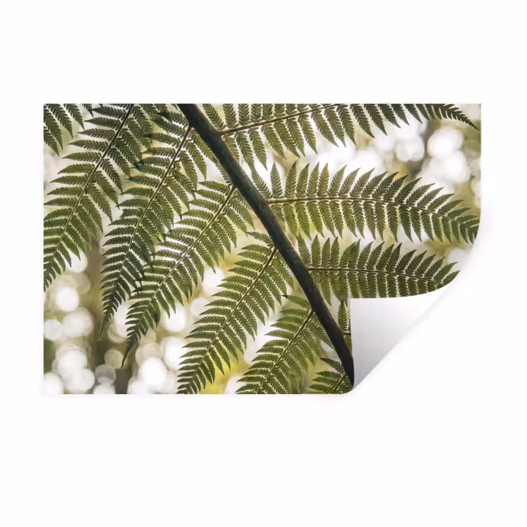Plant - Blad - Natuur - Groen - Detail Muursticker klein -3d