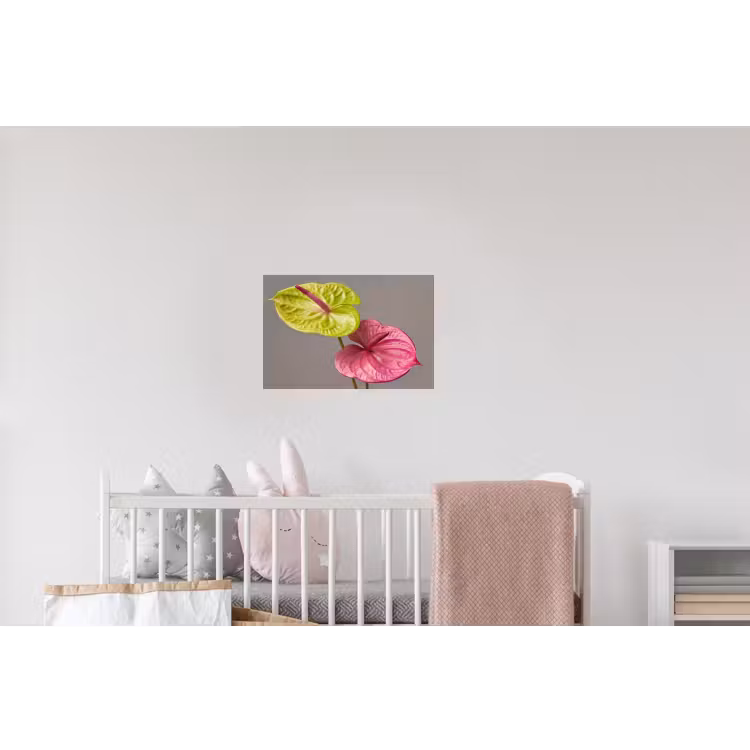 Planten - Anthurium - Groen - Roze Muursticker klein -kinderkamer