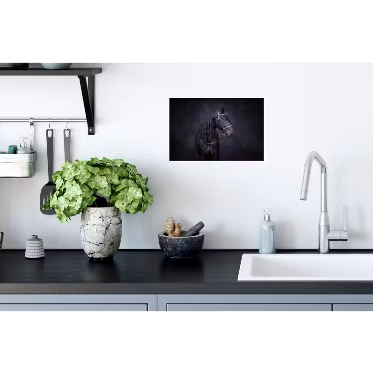 Portret - Paard - Donker Muursticker klein -keuken