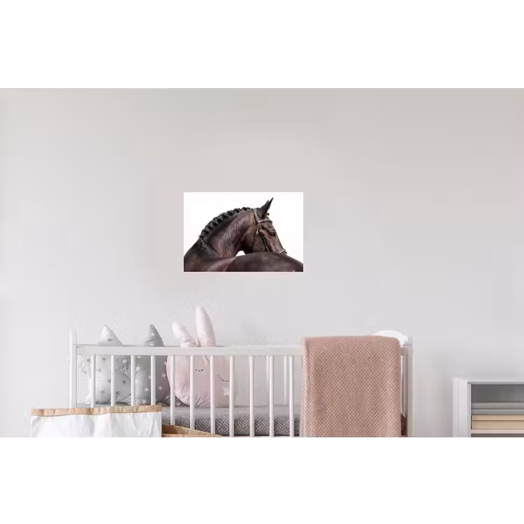 Portret - Paard - Elegant Muursticker klein -kinderkamer