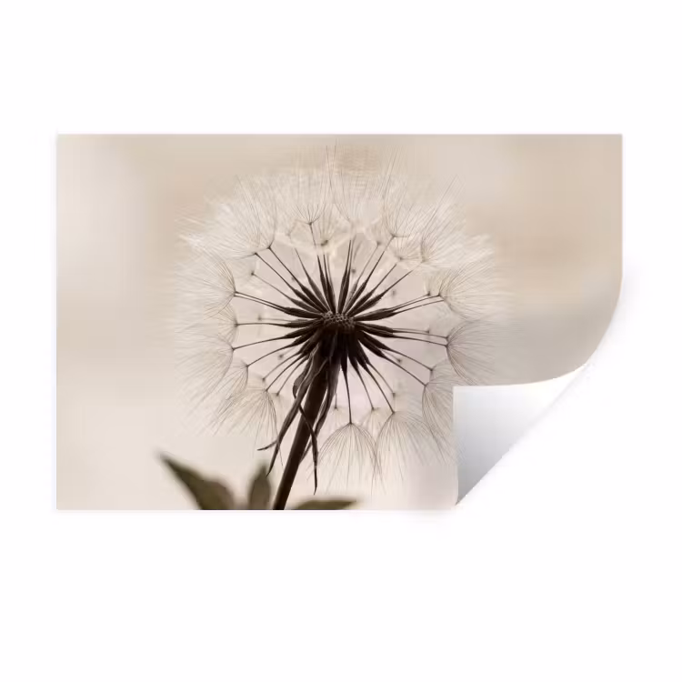 Paardenbloem - Minimalistisch - Wit Muursticker klein -3d
