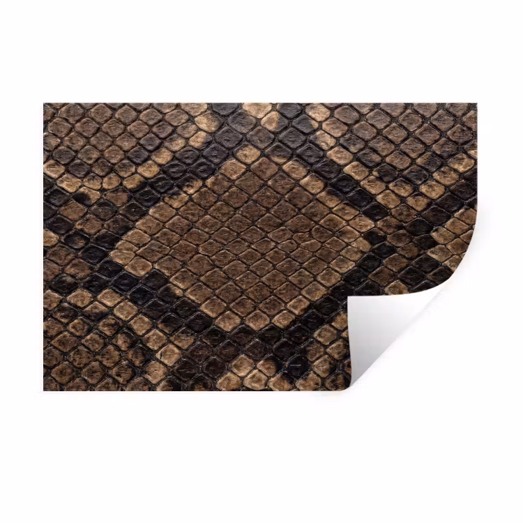 Python - Schubben - Brons Muursticker klein -3d