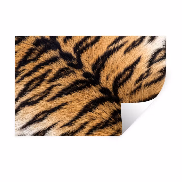 Realistisch - Tijgervacht - Zwart Muursticker klein -3d