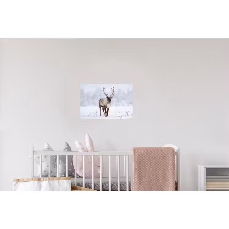 Rendier - Gewei - Toendra - Sneeuw - Wild Muursticker klein -kinderkamer
