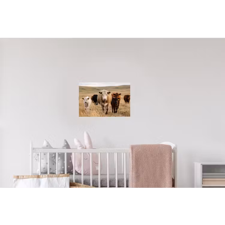Runderen - Kudde - Landschap - Weide - Rustig Muursticker klein -kinderkamer