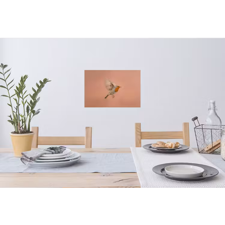 Roodborst - Natuur - Roze Muursticker klein -eettafel