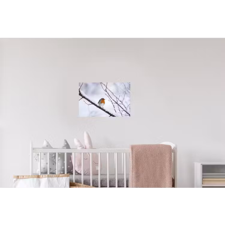 Roodborstje - Tak - Sneeuw - Winter - Levendig Muursticker klein -kinderkamer