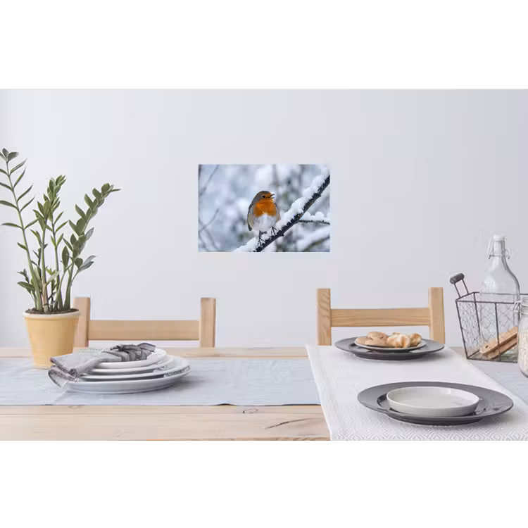 Roodborstje - Tak - Sneeuw - Winter - Levendig Muursticker klein -eettafel