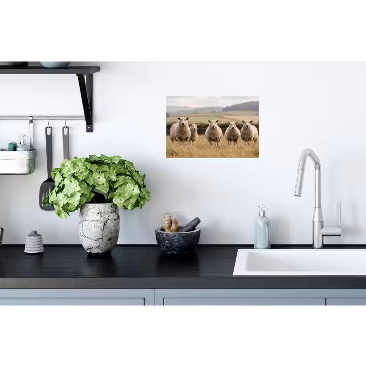 Schapen - Weidenlandschap - Heuvels Muursticker klein -keuken