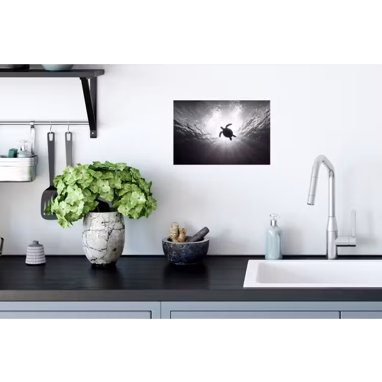 Schildpad - Onderwater - Lichtstralen - Oceaan - Zwart-wit Muursticker klein -keuken