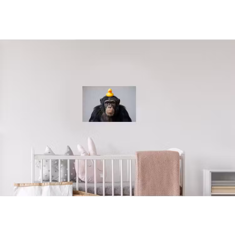 Chimpansee - Badeend - Grijs Muursticker klein -kinderkamer