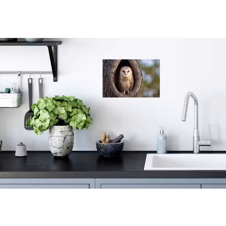 Kerkuil - Boom - Natuur - Bruin Muursticker klein -keuken