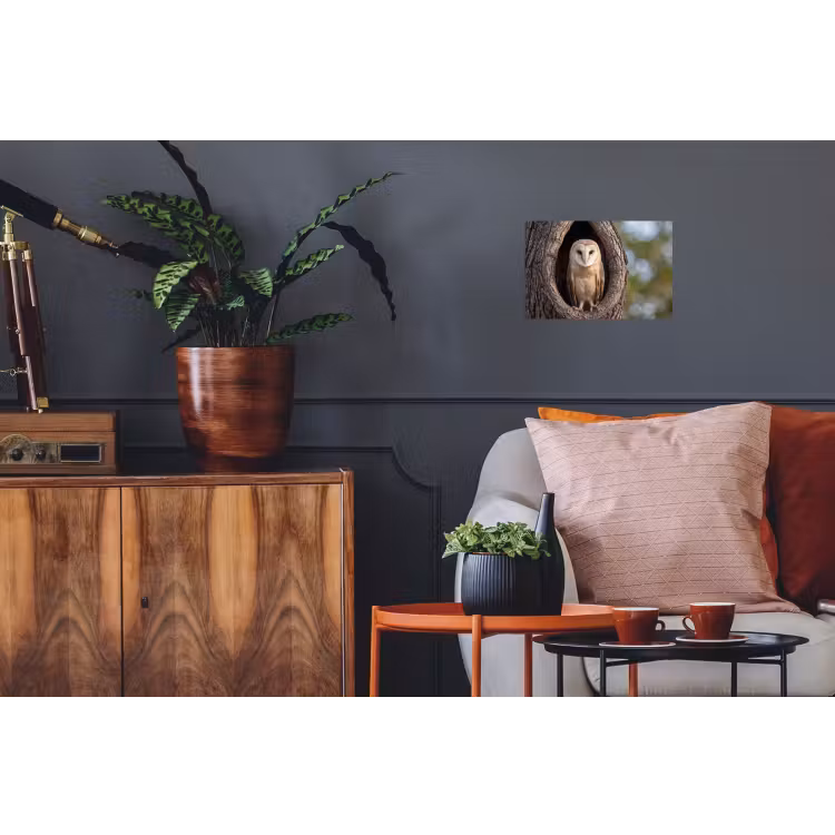 Kerkuil - Boom - Natuur - Bruin Muursticker klein -kamerbank