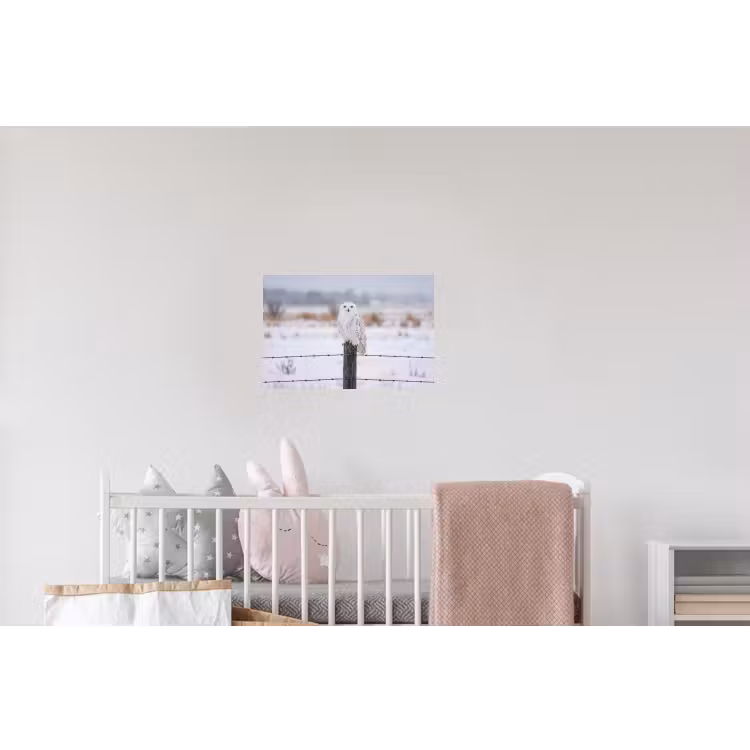 Sneeuwuil - Hek - Sneeuw - Wit Muursticker klein -kinderkamer