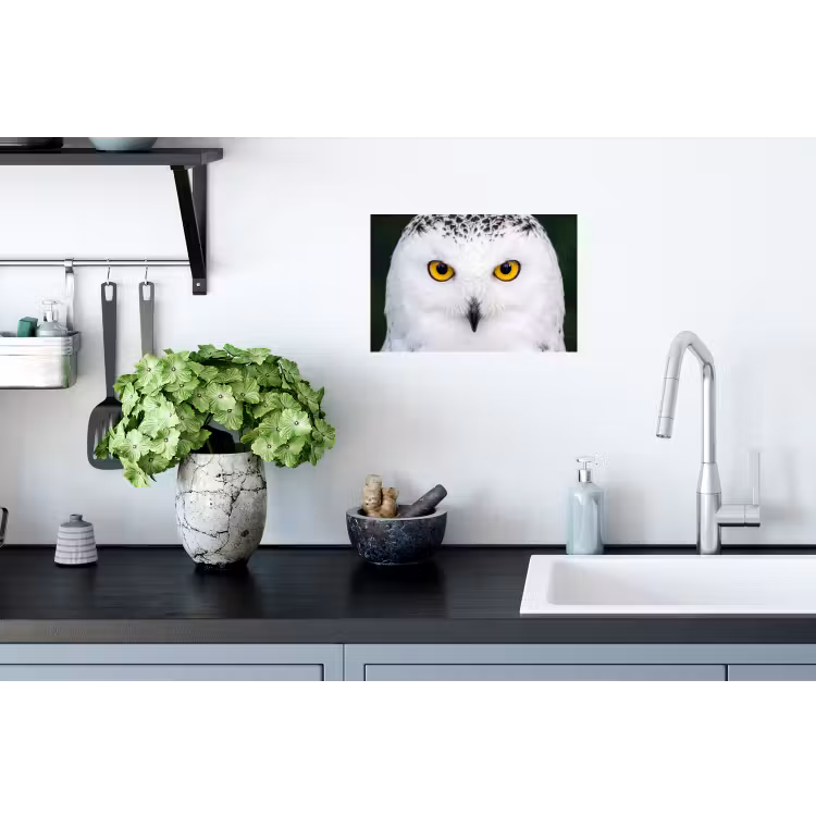 Sneeuwuil - Portret - Geel Muursticker klein -keuken