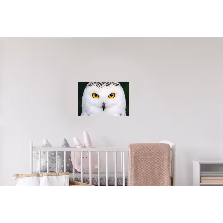 Sneeuwuil - Portret - Geel Muursticker klein -kinderkamer