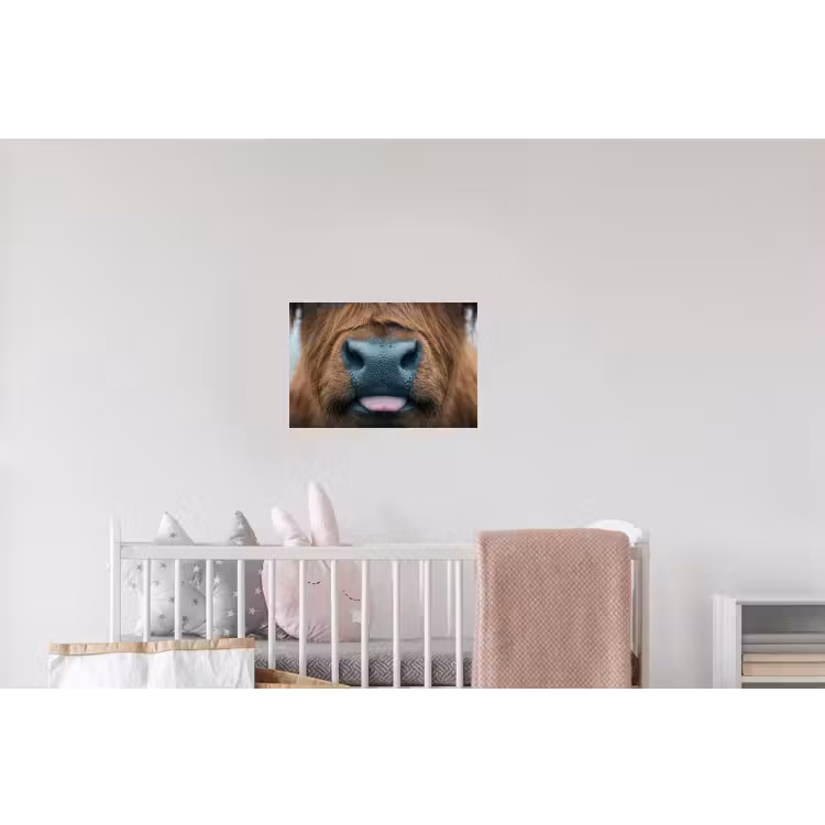 Schotse hooglander - Neus - Bruin Muursticker klein -kinderkamer