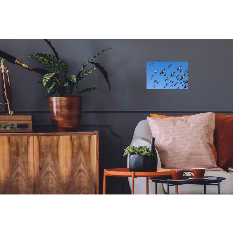 Zwaluwen - Vliegen - Blauw Muursticker klein -kamerbank