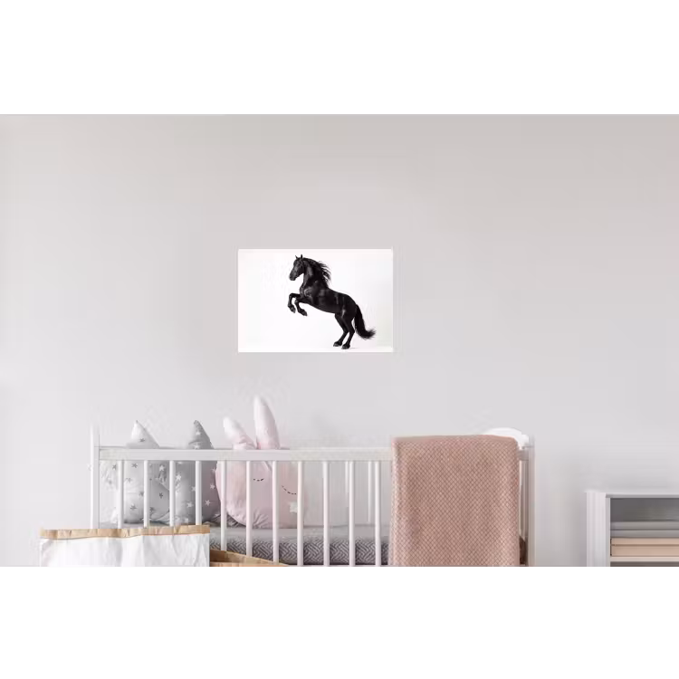 Zwart - Paard - Portret Muursticker klein -kinderkamer