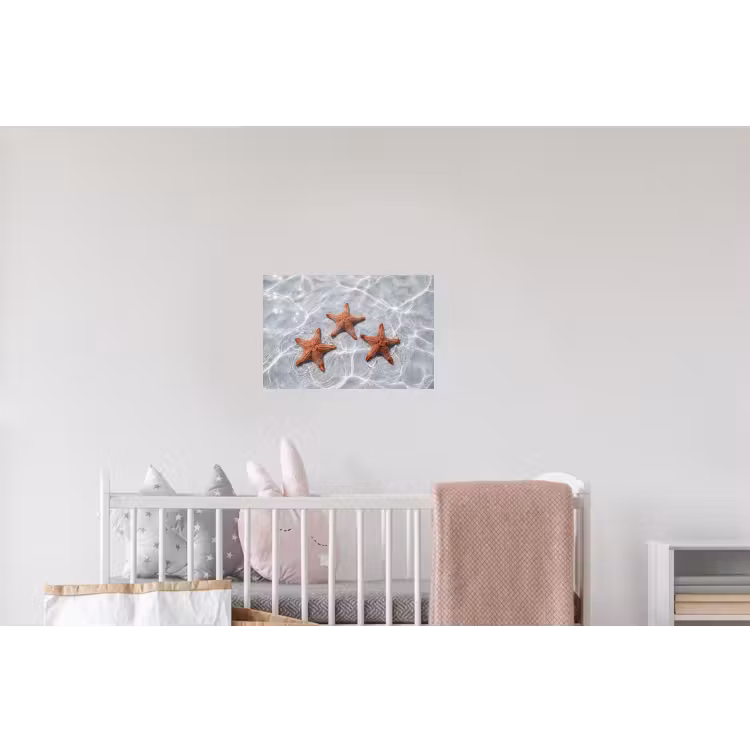 Zeesterren - Water - Helder Muursticker klein -kinderkamer