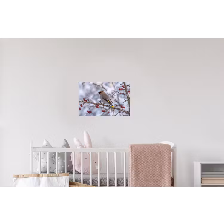 Pestvogel - Bessen - Winter - Natuur Muursticker klein -kinderkamer