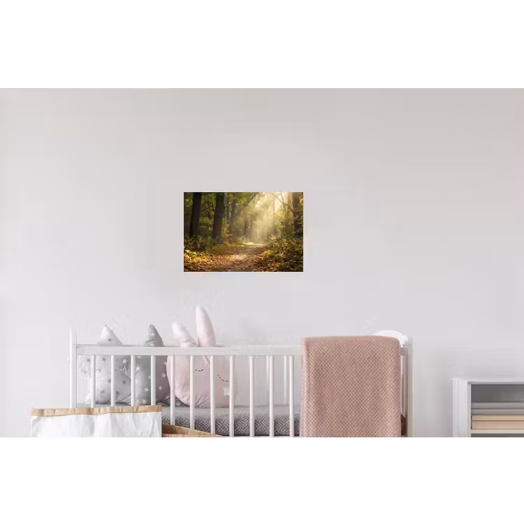 Zonlicht - Bospad - Bomen Muursticker klein -kinderkamer