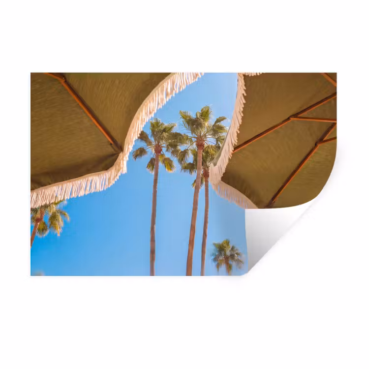 Parasol - Groen - Franjes - Zomer - Tropisch Muursticker klein -3d