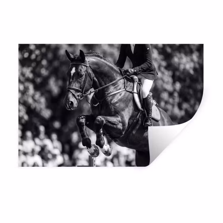 Springen - Paard - Zwart - Wit Muursticker klein -3d