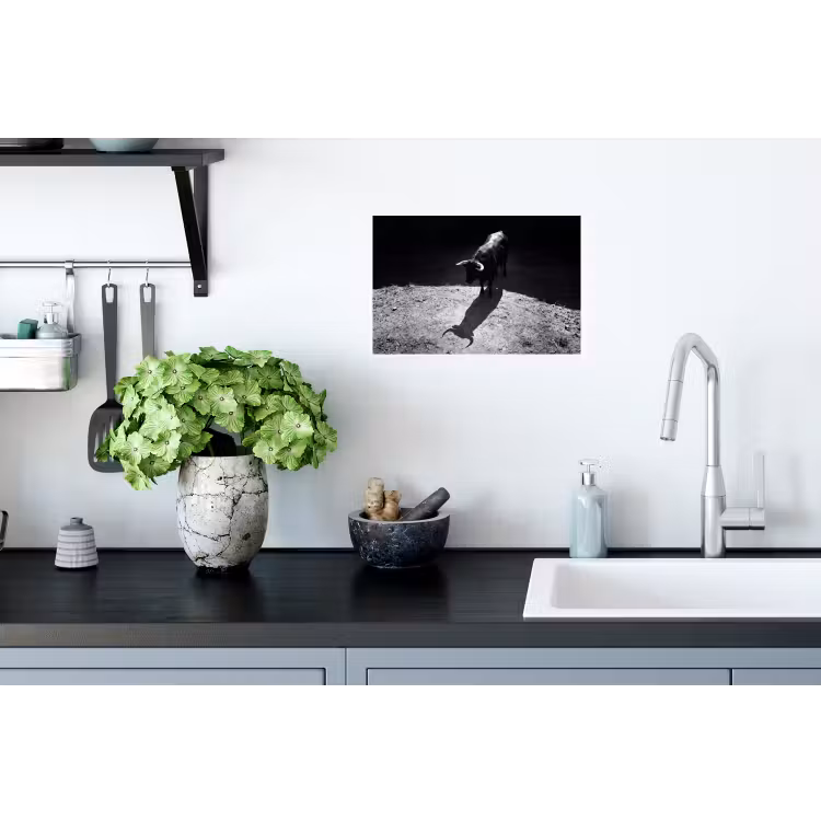 Stier - Schaduw - Dieren - Contrast - Zwart-wit Muursticker klein -keuken
