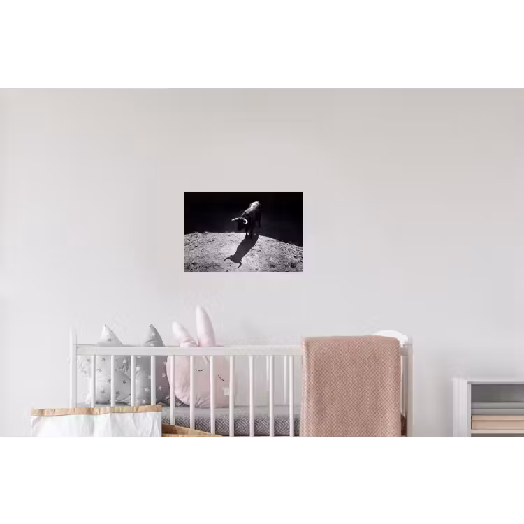 Stier - Schaduw - Dieren - Contrast - Zwart-wit Muursticker klein -kinderkamer