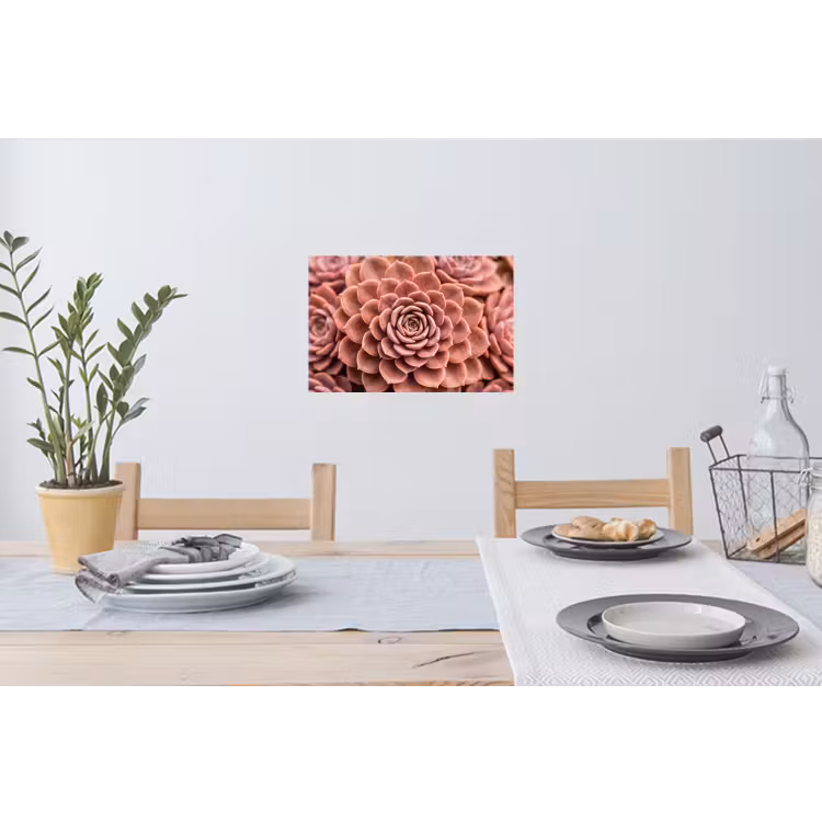 Vetplant - Organisch - Roze Muursticker klein -eettafel
