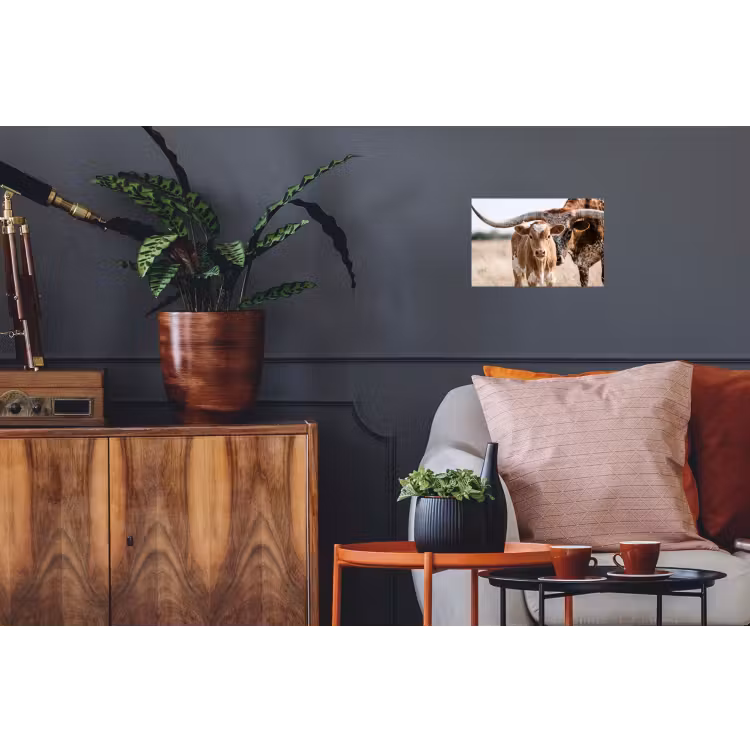 Texas Longhorn - Kalf - Weide - Dieren Muursticker klein -kamerbank
