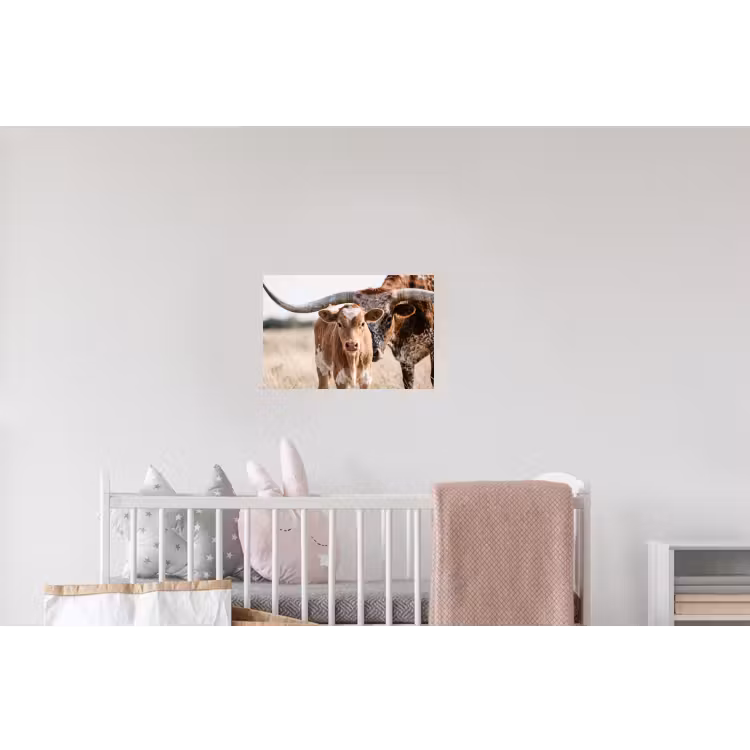 Texas Longhorn - Kalf - Weide - Dieren Muursticker klein -kinderkamer