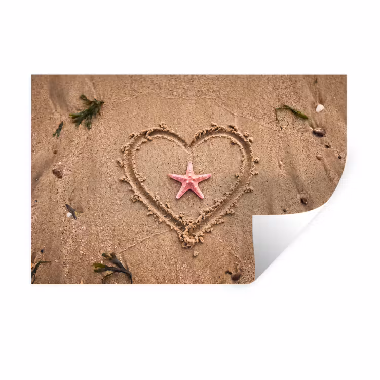 Dieren - Hart - Strand - Zand - Roze Muursticker klein -3d