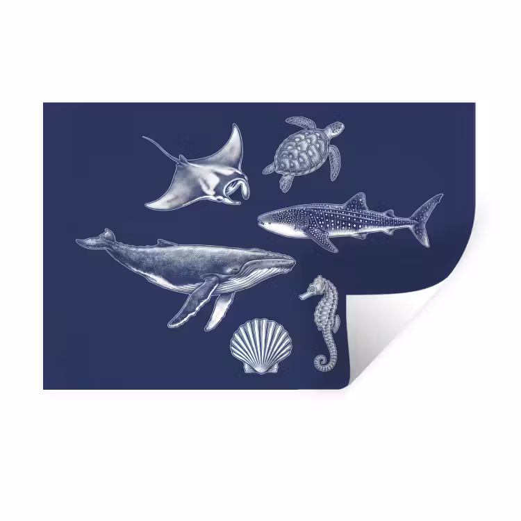 Dieren - Zeeleven - Oceaan - Graveren - Blauw Muursticker klein -3d