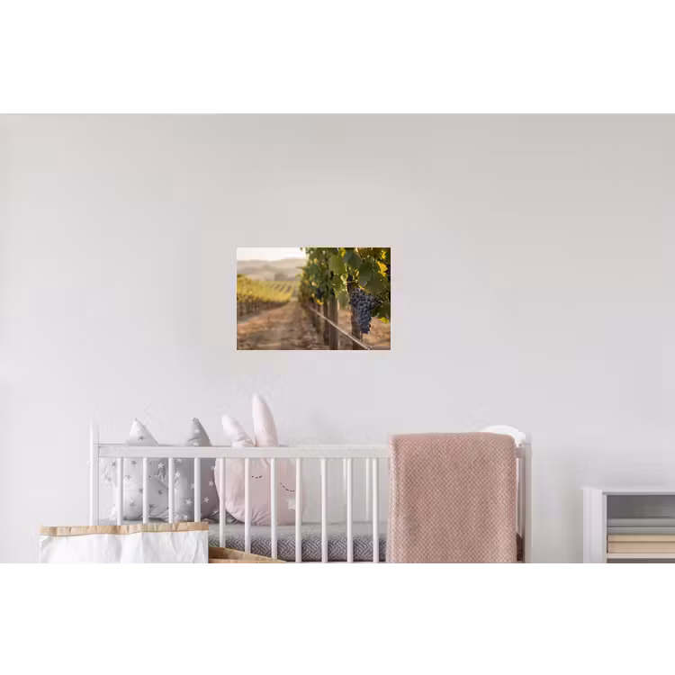 Druiven - Wijngaard - Zonlicht Muursticker klein -kinderkamer