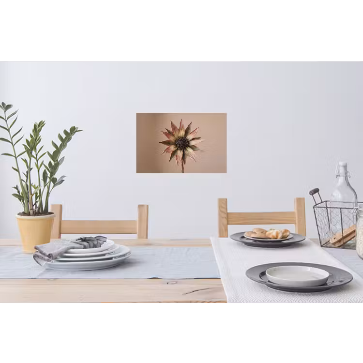 Droogbloem - Protea - Vintage - Beige - Rustiek Muursticker klein -eettafel
