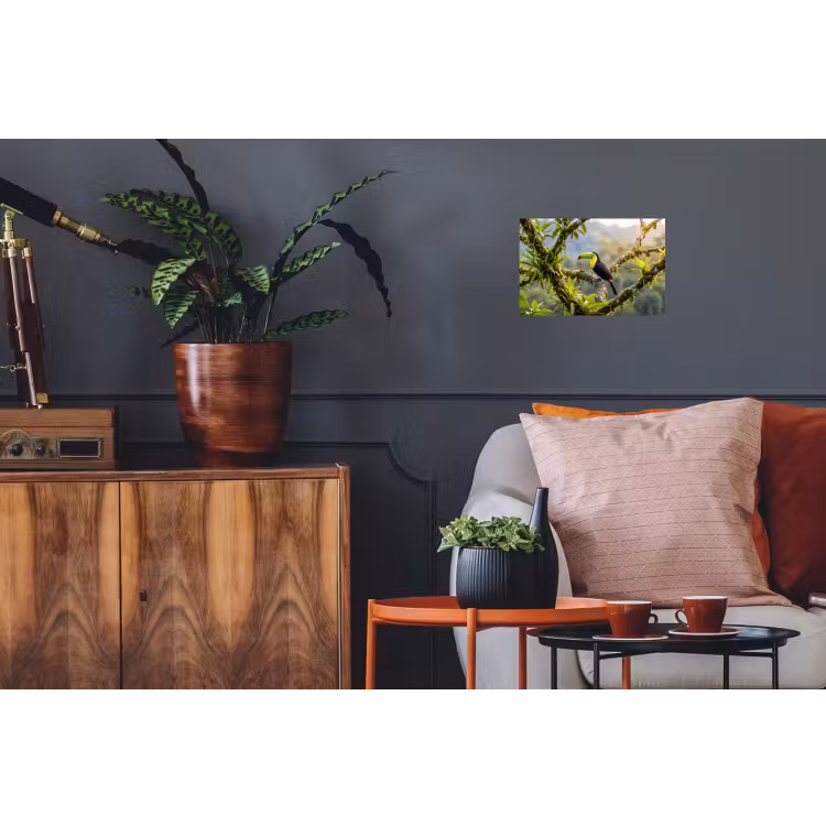 Toekan - Jungle - Natuur - Kleurrijk Muursticker klein -kamerbank