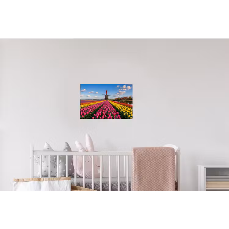 Tulpen - Holland - Molen - Kleurrijk Muursticker klein -kinderkamer