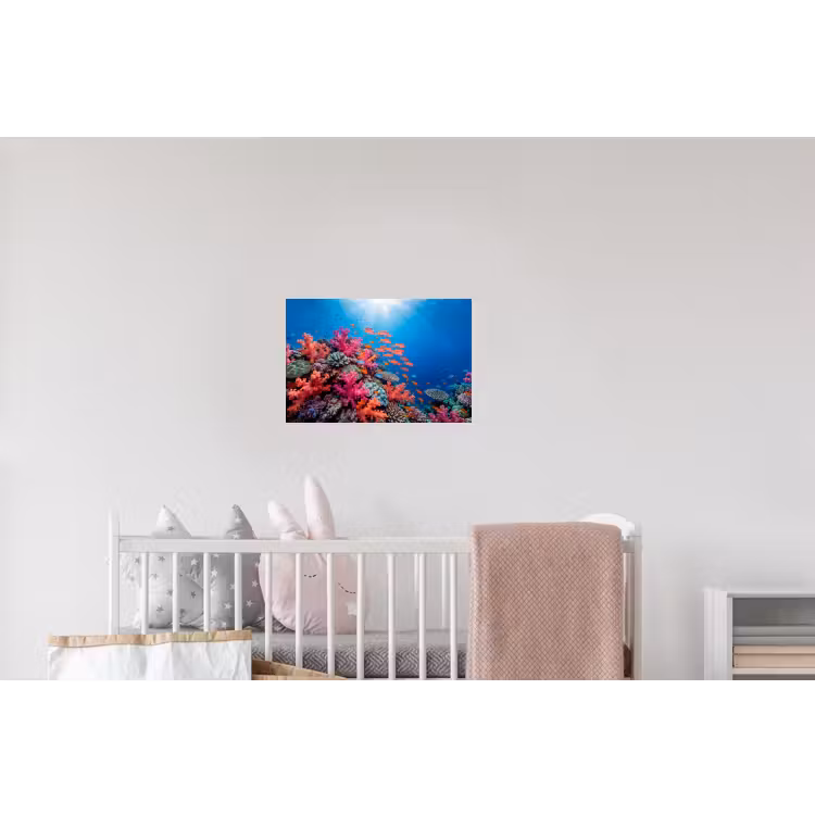 Onderwater - Koraalrif - Vissen - Oceaan - Natuur Muursticker klein -kinderkamer