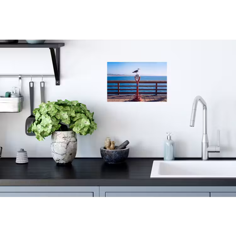 Vogel - Verrekijker - Kust - Zee - Blauw Muursticker klein -keuken