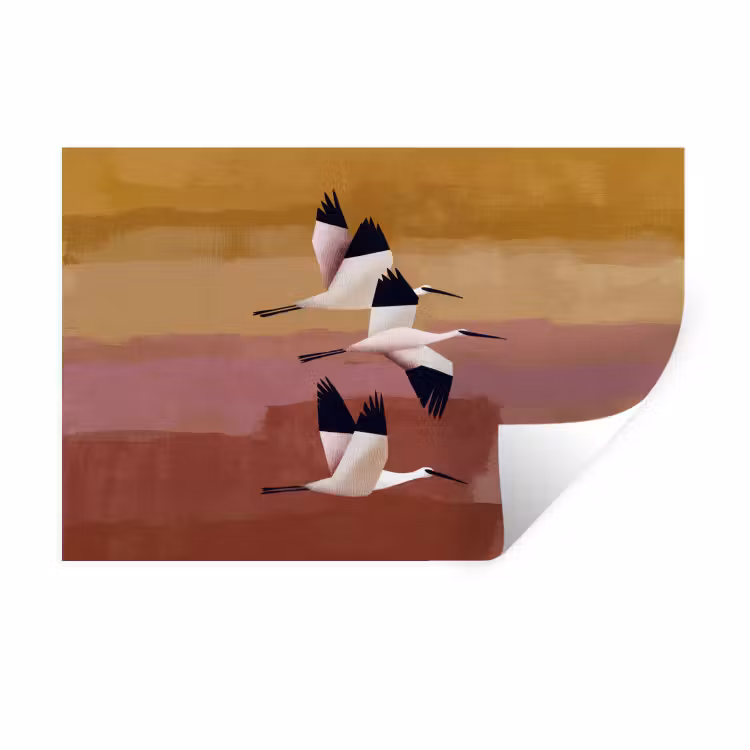 Vogels - Snavel - Abstract Muursticker klein -3d